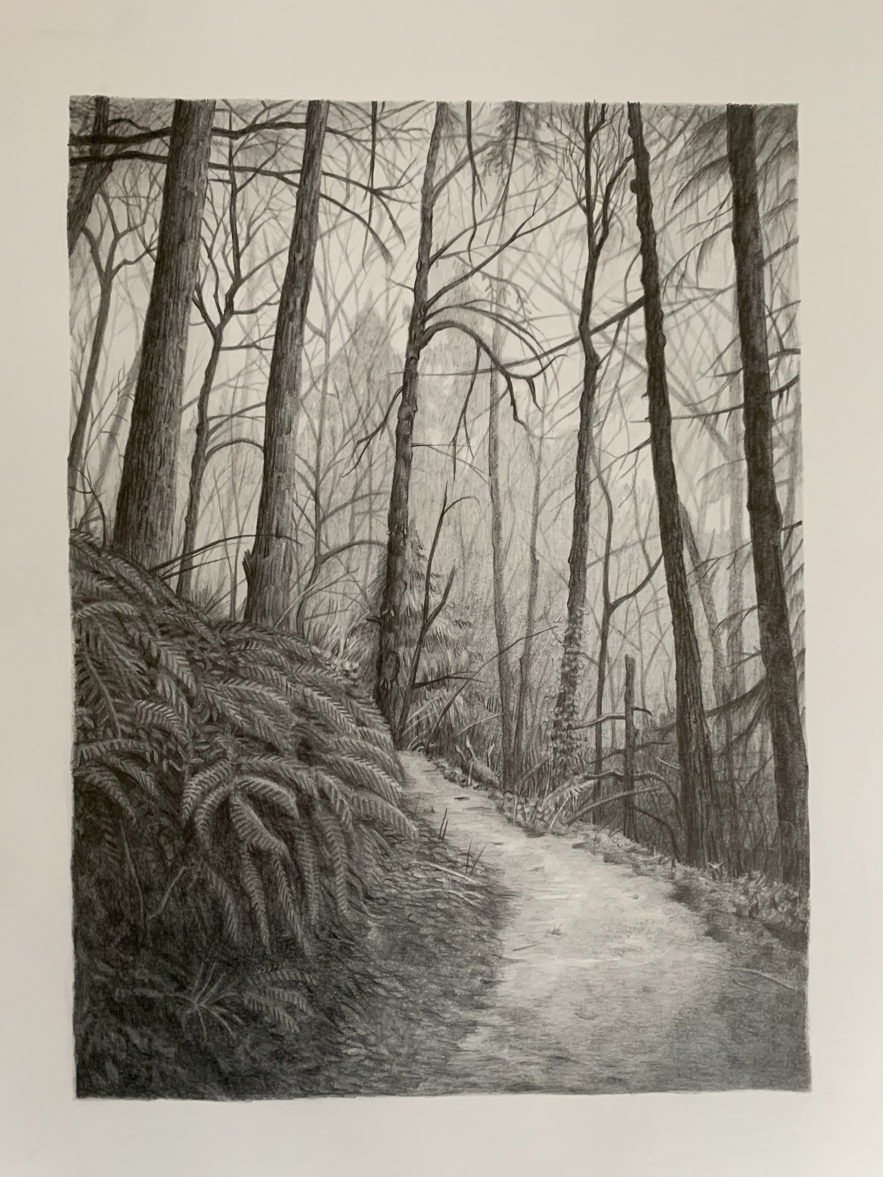 path 3