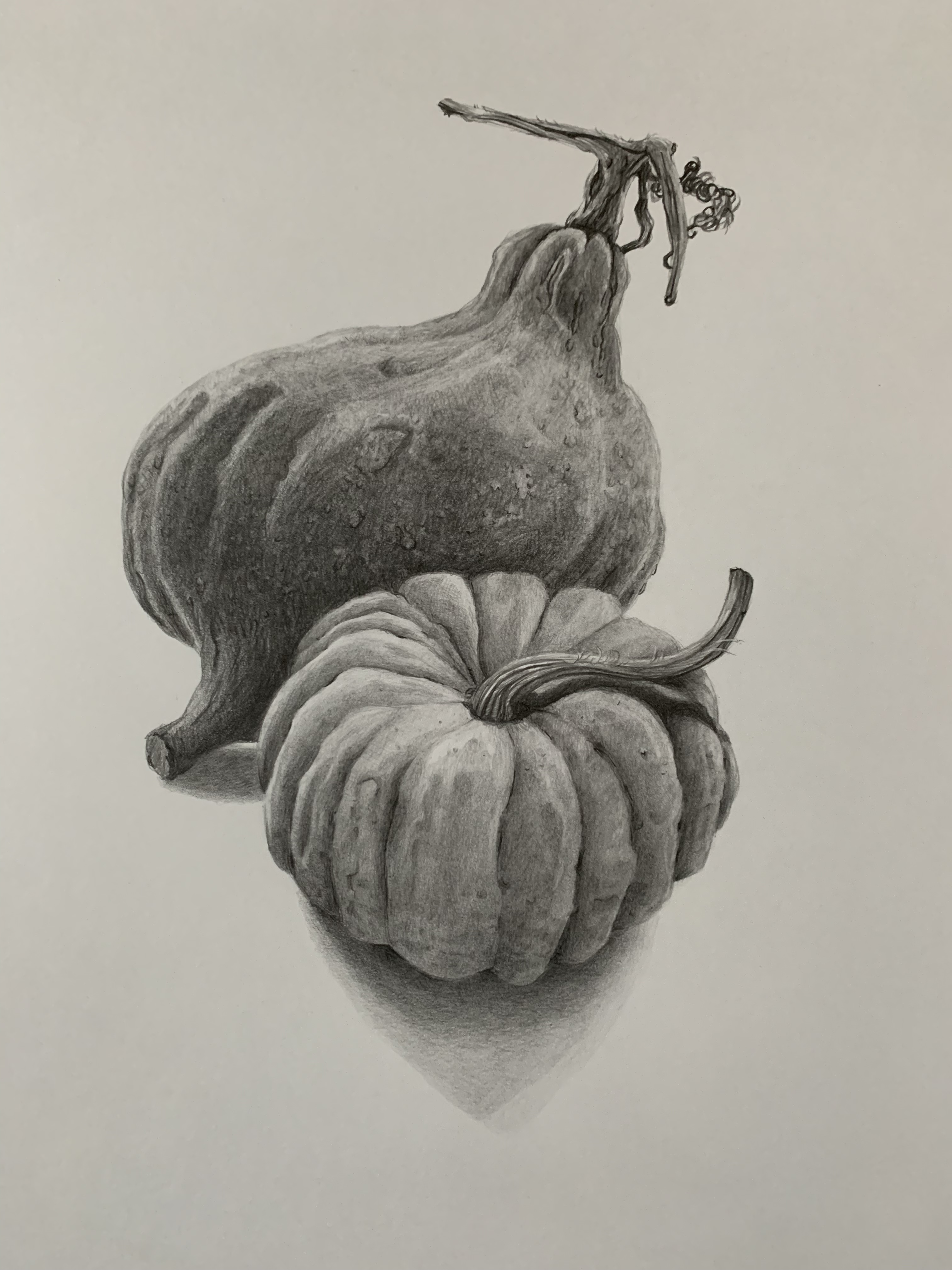 squash still life
