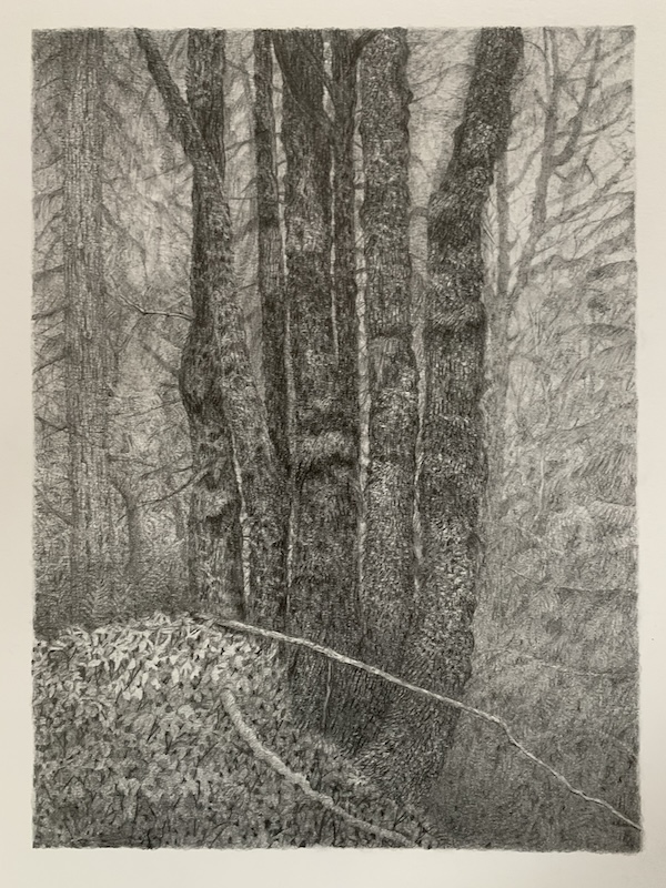 Image 19
